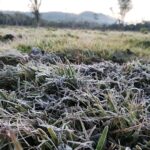 ALERTA POR FRÍO POLAR❄️🥶: MISIONES PODRÍA REGISTRAR TEMPERATURAS DE HASTA -2°C Y HELADAS GENERALIZADAS