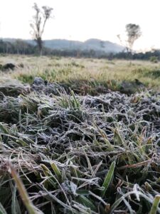 ALERTA POR FRÍO POLAR❄️🥶: MISIONES PODRÍA REGISTRAR TEMPERATURAS DE HASTA -2°C Y HELADAS GENERALIZADAS