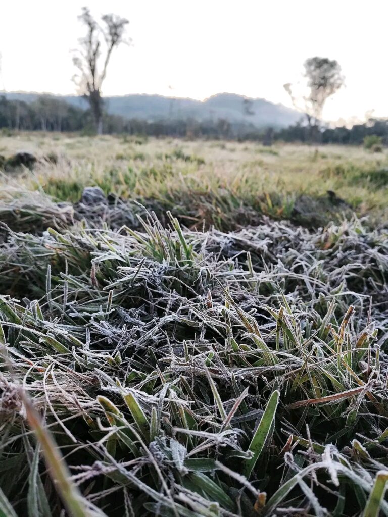 ALERTA POR FRÍO POLAR❄️🥶: MISIONES PODRÍA REGISTRAR TEMPERATURAS DE HASTA -2°C Y HELADAS GENERALIZADAS
