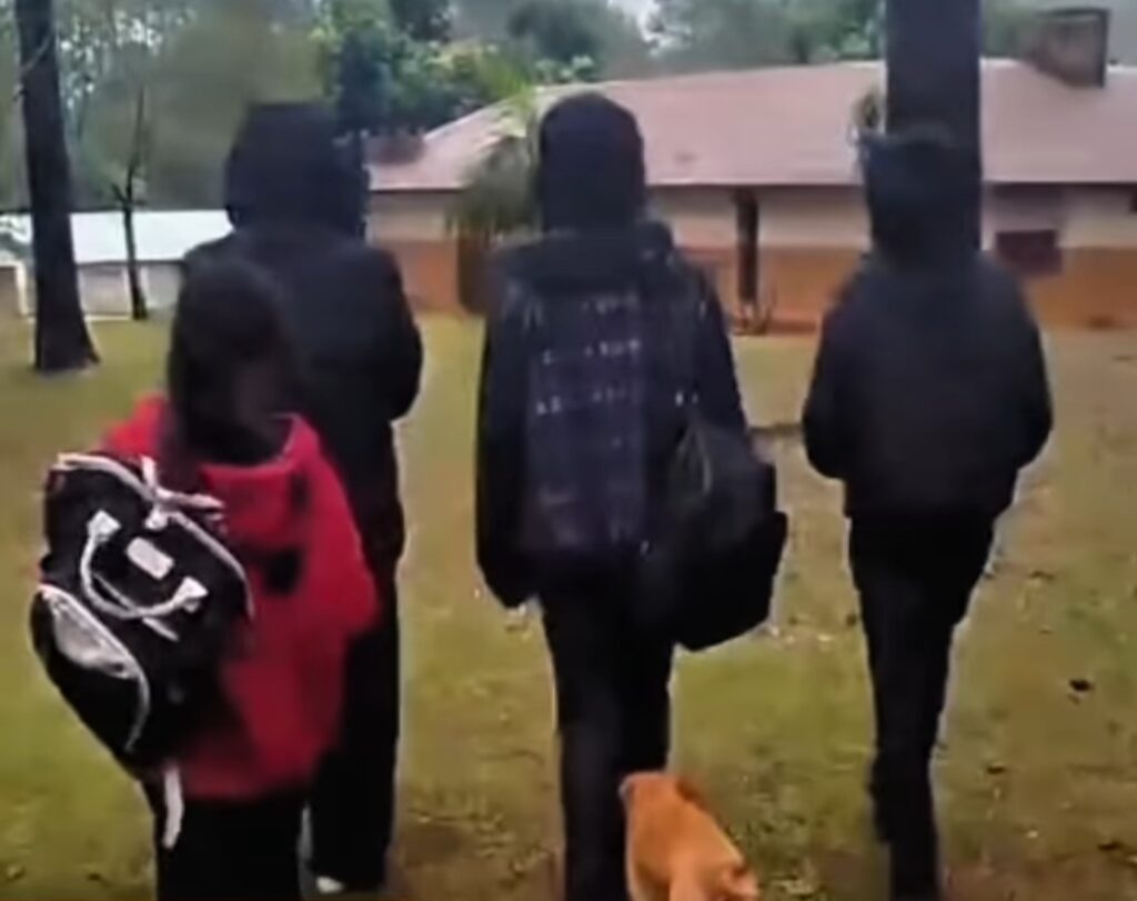 «MAMÁ LLEVA HOMBRES A TOMAR A CASA Y HACE QUE SE QUEDEN CON MI HERMANITA🚨😢»: RESGUARDARON A CUATRO HERMANOS EN LEANDRO N. ALEM