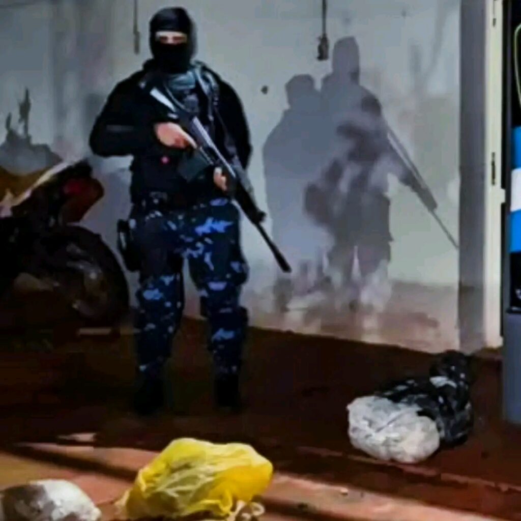 Golpe al narcomenudeo en Jardín 🚨 : frustraron el traslado de 37 kilos de marihuana valuados en $137 millones