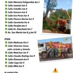 🚧 Eldorado: conocé el cronograma de trabajos municipales para esta semana y las zonas donde habrá tareas