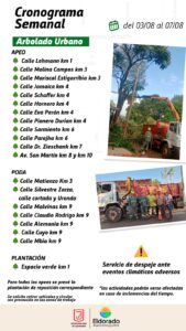 🚧 Eldorado: conocé el cronograma de trabajos municipales para esta semana y las zonas donde habrá tareas